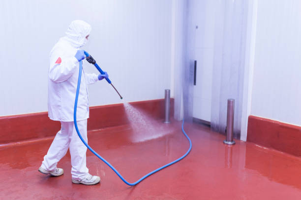 Playground Equipment Cleaning in Hooks, TX