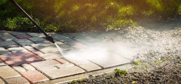 Best Roof Washing  in Hooks, TX